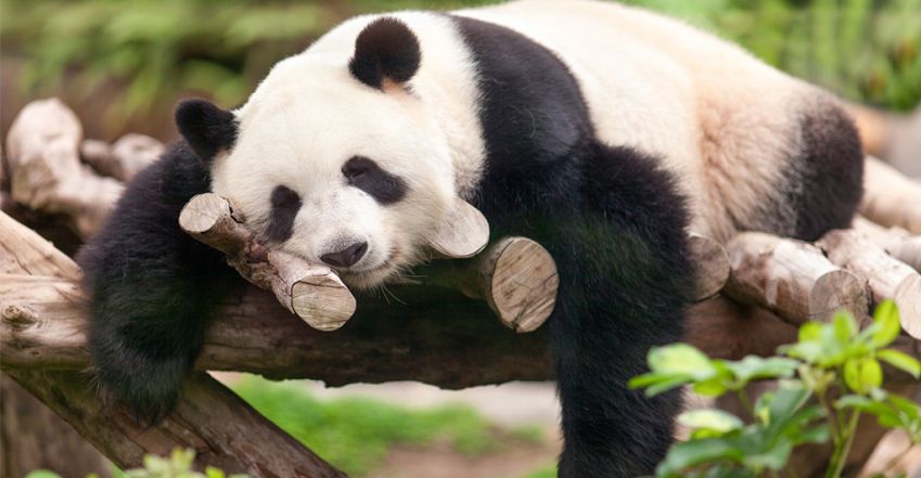 6 jel, hogy táplálékkiegészítőre van szükséged