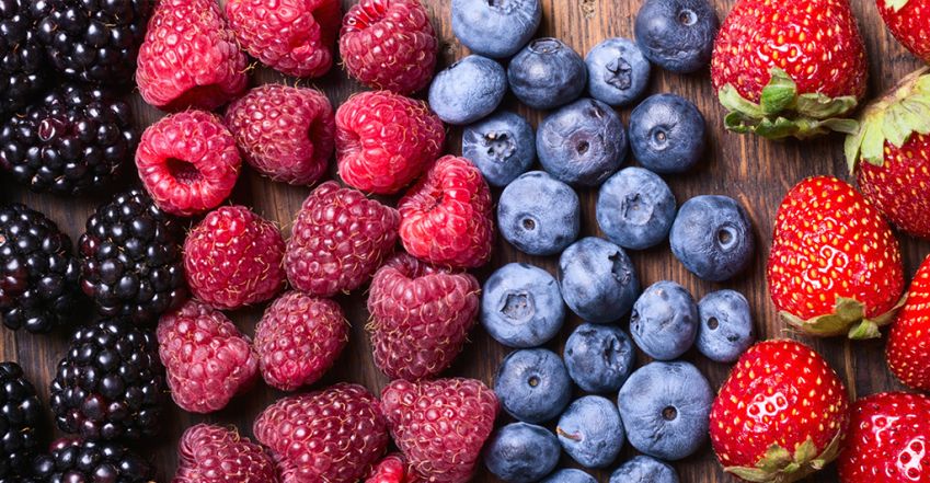 Eper, áfonya, szeder: minden, amit a bogyós gyümölcsökről tudni kell